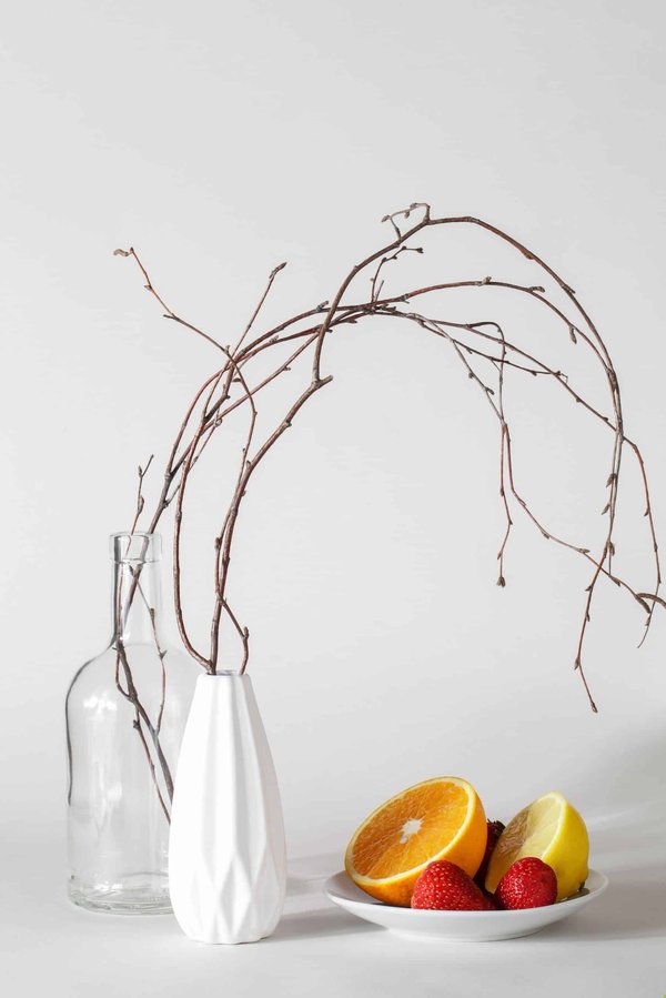 Quelles sont les meilleures pratiques pour maintenir un système immunitaire fort?